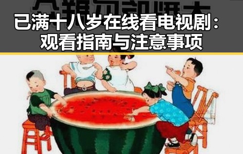 已满十八岁在线看电视剧：观看指南与注意事项