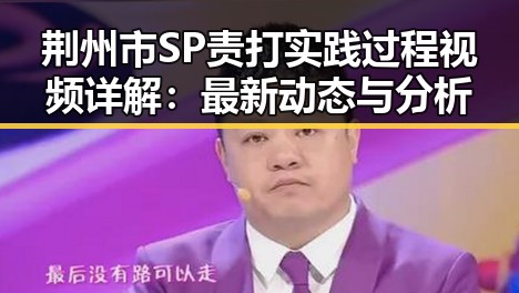 荆州市SP责打实践过程视频详解：最新动态与分析
