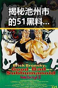 揭秘池州市的51黑料与免费版:背后的真相与分析