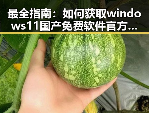 最全指南:如何获取windows11国产免费软件官方版的稳定体验