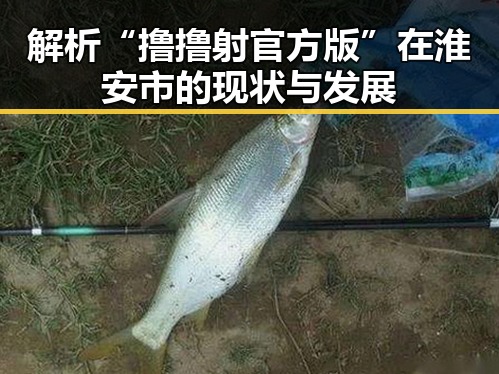 解析“撸撸射官方版”在淮安市的现状与发展