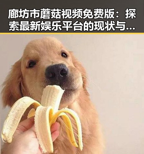 廊坊市蘑菇视频免费版：探索最新娱乐平台的现状与趋势