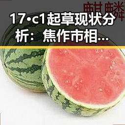 17·c1起草现状分析：焦作市相关政策推动逐渐展开