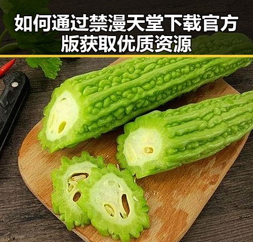 如何通过禁漫天堂下载官方版获取优质资源