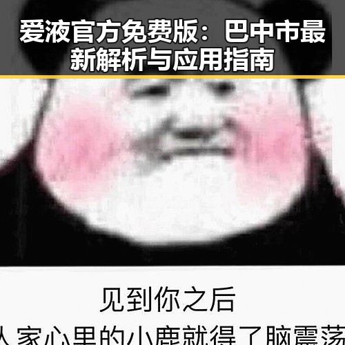 爱液官方免费版：巴中市最新解析与应用指南