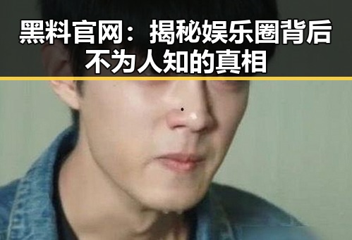 黑料 官网：揭秘娱乐圈背后不为人知的真相