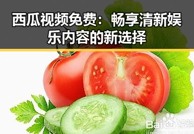 西瓜视频免费：畅享清新娱乐内容的新选择