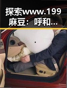 探索www.199麻豆：呼和浩特市的新兴娱乐现象