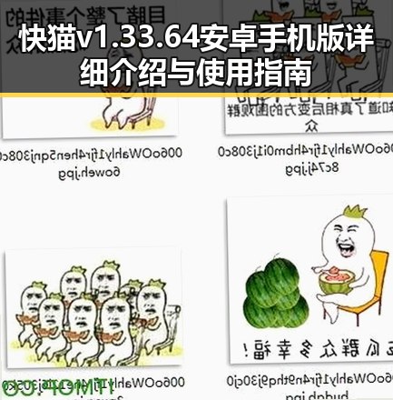 快猫v1.33.64 安卓手机版详细介绍与使用指南