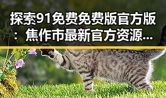 探索91免费免费版官方版：焦作市最新官方资源介绍