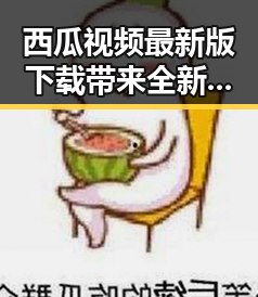 西瓜视频最新版下载带来全新观看体验，探索桂林市的精彩内容