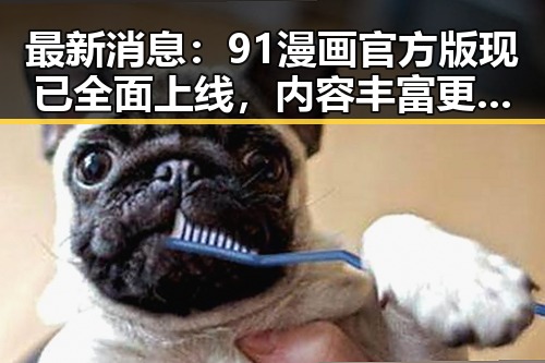 最新消息：91漫画官方版现已全面上线，内容丰富更新迅速