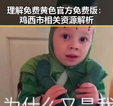理解免费黄色官方免费版：鸡西市相关资源解析