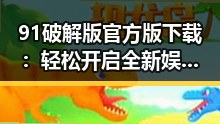91破解版官方版下载：轻松开启全新娱乐体验