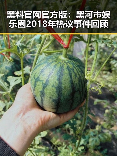 黑料 官网官方版：黑河市娱乐圈2018年热议事件回顾