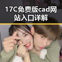 17C免费版cad网站入口详解