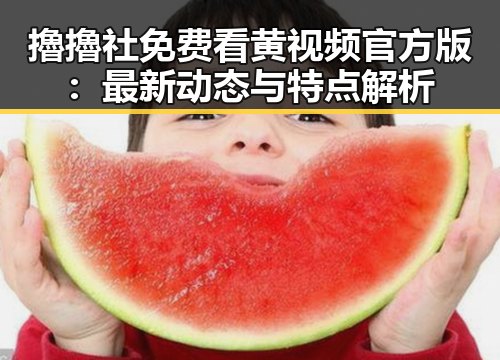 擼擼社免费看黄 视频官方版：最新动态与特点解析