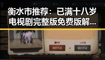 衡水市推荐：已满十八岁电视剧完整版免费版解析与欣赏