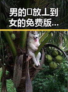 男的🈚放丄到女的免费版下载：全新体验的反差与变化