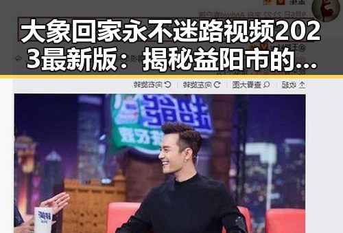 大象回家永不迷路视频2023最新版：揭秘益阳市的感人故事