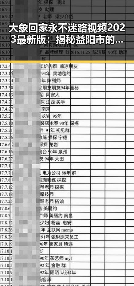 大象回家永不迷路视频2023最新版：揭秘益阳市的感人故事