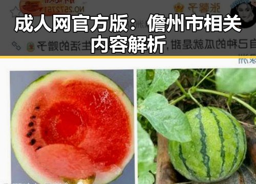 成人网官方版：儋州市相关内容解析
