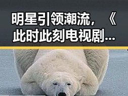 明星引领潮流，《此时此刻电视剧在线观看》成最新热议话题