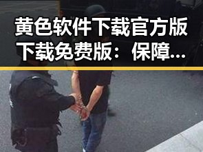 黄色软件下载官方版下载免费版：保障您的安全与便捷体验