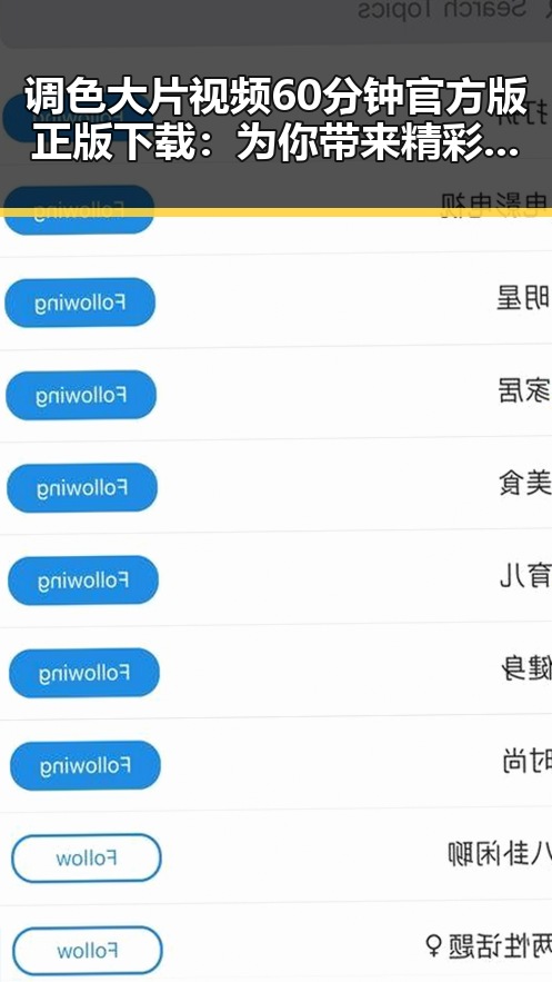 调色大片视频60分钟官方版正版下载：为你带来精彩视听体验