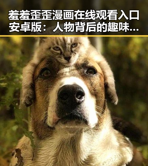 羞羞歪歪漫画 在线观看入口安卓版：人物背后的趣味与变化