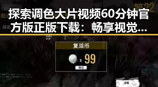 探索调色大片视频60分钟官方版正版下载：畅享视觉盛宴