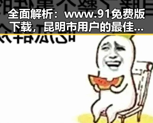 全面解析：www.91免费版下载，昆明市用户的最佳选择