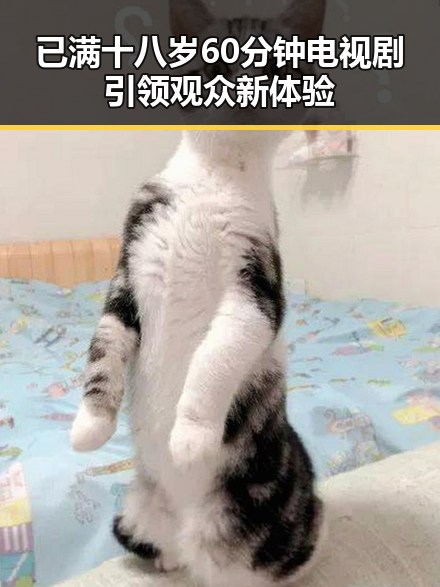 已满十八岁60分钟电视剧引领观众新体验
