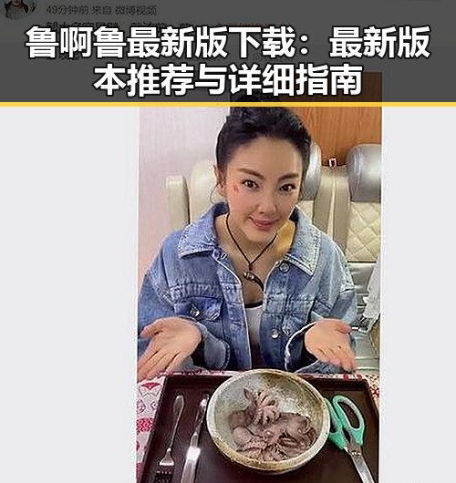 鲁啊鲁最新版下载：最新版本推荐与详细指南