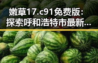 嫩草17.c 91免费版：探索呼和浩特市最新的免费资源平台