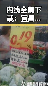 内线全集下载：宜昌市居民获取优质影视资源的指南