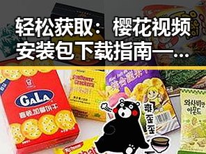 轻松获取：樱花视频安装包下载指南——南宁市用户必看