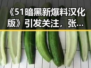 《51暗黑新爆料汉化版》引发关注，张掖市玩家热议