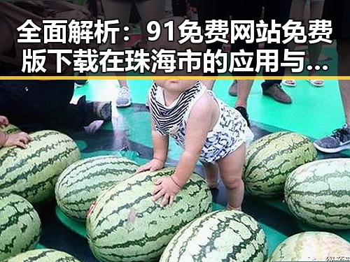 全面解析：91免费网站免费版下载在珠海市的应用与发展