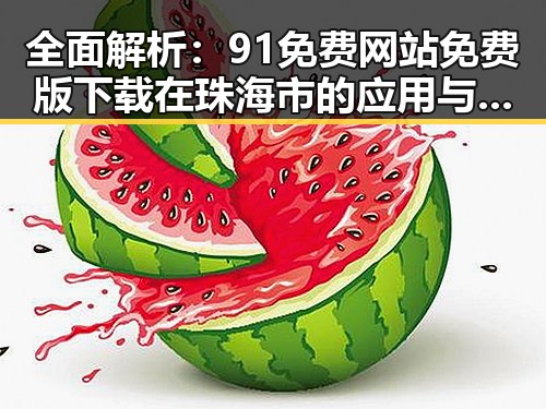 全面解析：91免费网站免费版下载在珠海市的应用与发展