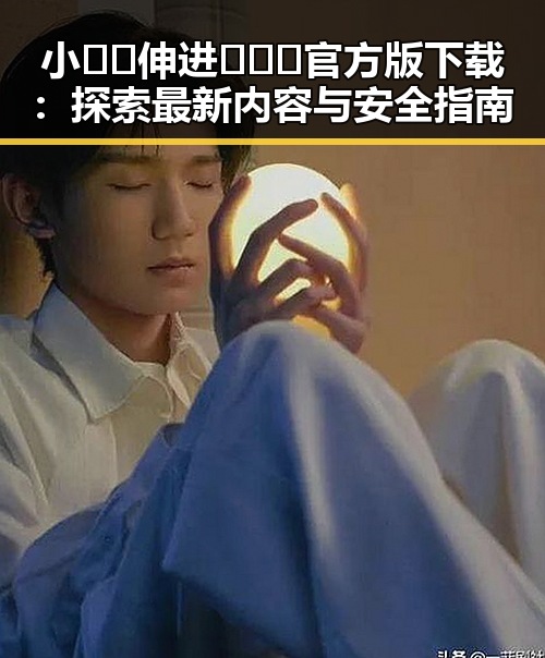 小🐔🐔伸进🈲🔞🔞官方版下载：探索最新内容与安全指南