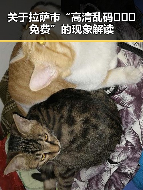 关于拉萨市“高清乱码🔞❌♋免费”的现象解读