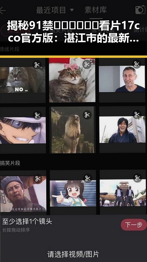 揭秘91禁🍆🍑🔞❌❌❌看片17cco官方版：湛江市的最新动态分析