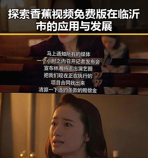 探索香蕉视频免费版在临沂市的应用与发展