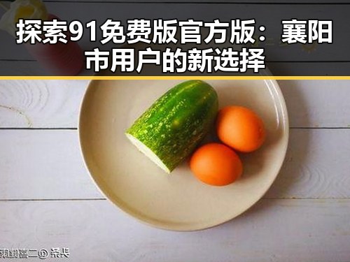 探索91免费版官方版：襄阳市用户的新选择
