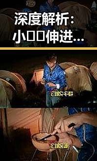 深度解析：小🐔🐔伸进🈲🔞🔞A官方版背后的现状与影响