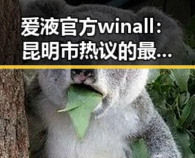 爱液官方winall：昆明市热议的最新娱乐热点