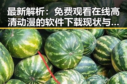 最新解析： 免费观看在线高清动漫的软件下载现状与趋势