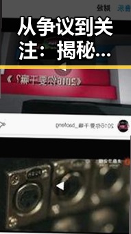 从争议到关注：揭秘撸撸射官方版下载的现状与发展