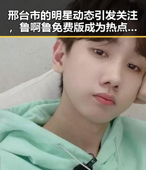 邢台市的明星动态引发关注，鲁啊鲁免费版成为热点话题